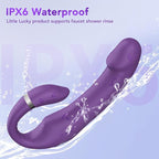 Pulse Wave Dual Vibrator